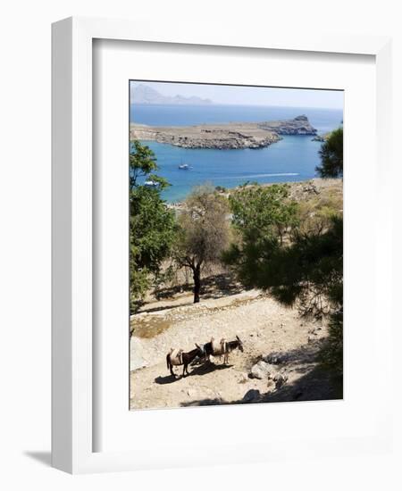 Two Donkeys in the St. Paul Bay, Lindos, Rhodes, Dodecanese, Greek Islands, Greece, Europe-Oliviero Olivieri-Framed Photographic Print