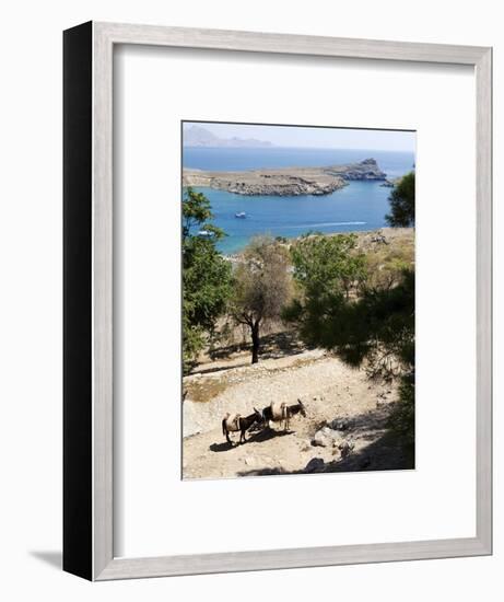 Two Donkeys in the St. Paul Bay, Lindos, Rhodes, Dodecanese, Greek Islands, Greece, Europe-Oliviero Olivieri-Framed Photographic Print