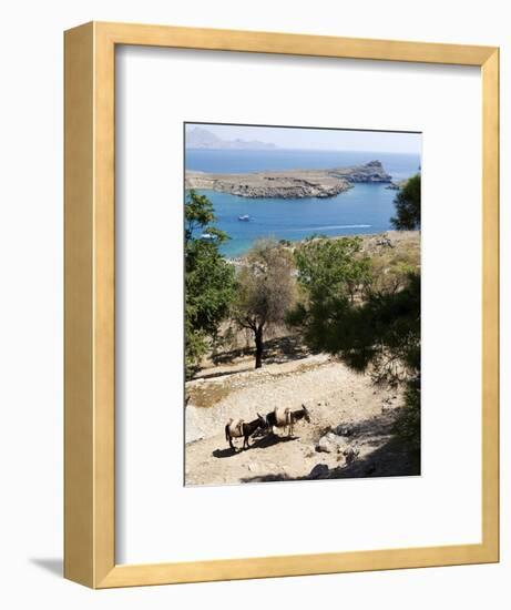 Two Donkeys in the St. Paul Bay, Lindos, Rhodes, Dodecanese, Greek Islands, Greece, Europe-Oliviero Olivieri-Framed Photographic Print