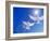 Two Doves Side by Side with Wings Outstretched in Flight with Brilliant Light And Blue Sky-null-Framed Photographic Print