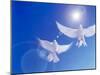 Two Doves Side by Side with Wings Outstretched in Flight with Brilliant Light And Blue Sky-null-Mounted Photographic Print