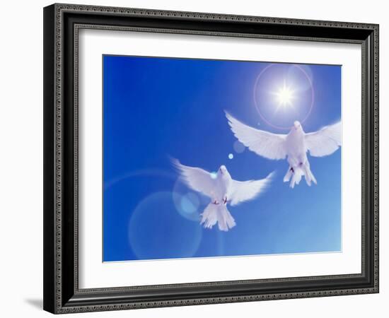 Two Doves Side by Side with Wings Outstretched in Flight with Brilliant Light And Blue Sky-null-Framed Photographic Print