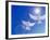 Two Doves Side by Side with Wings Outstretched in Flight with Brilliant Light And Blue Sky-null-Framed Photographic Print