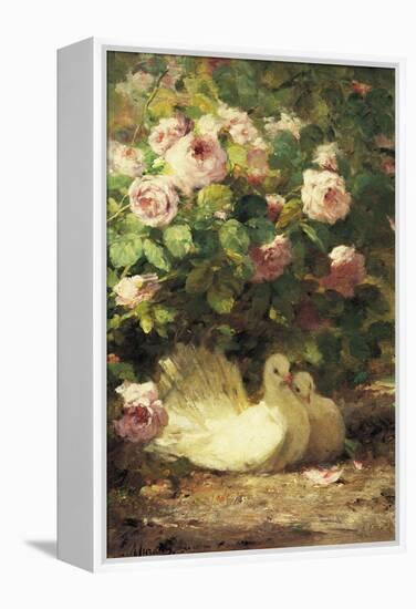 Two Doves-Alphonse Muraton-Framed Premier Image Canvas