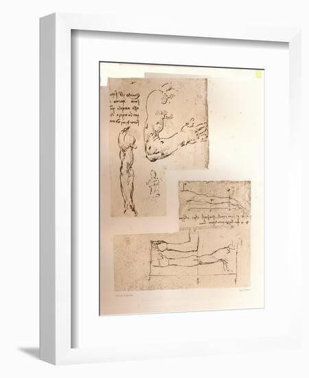 Two drawings illustrating the theory of the proportions of the human figure, c1472-c1519 (1883)-Leonardo Da Vinci-Framed Giclee Print