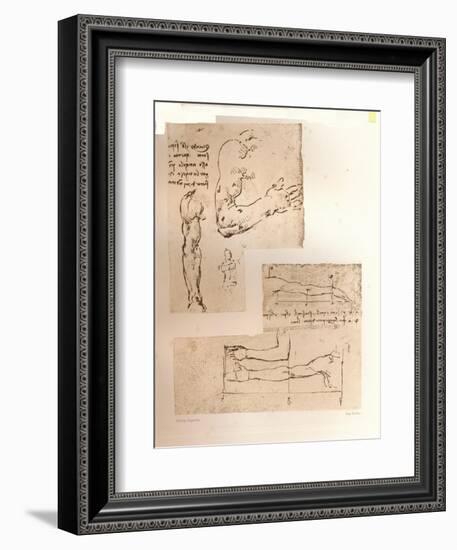 Two drawings illustrating the theory of the proportions of the human figure, c1472-c1519 (1883)-Leonardo Da Vinci-Framed Giclee Print