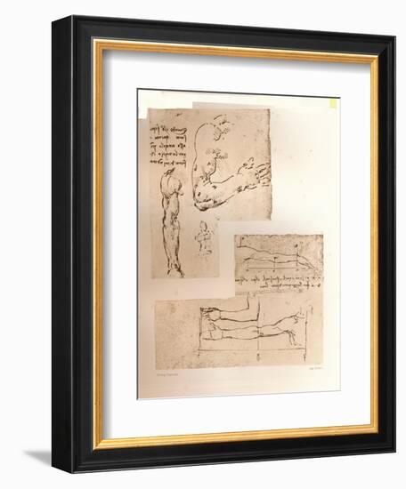 Two drawings illustrating the theory of the proportions of the human figure, c1472-c1519 (1883)-Leonardo Da Vinci-Framed Giclee Print