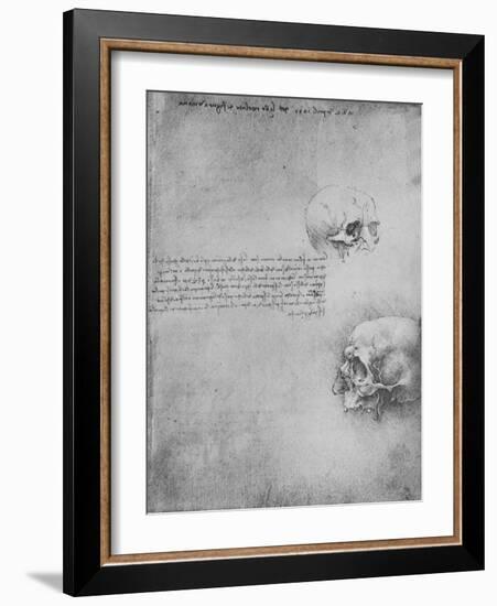 'Two Drawings of the Bony Structure of the Head', c1480 (1945)-Leonardo Da Vinci-Framed Giclee Print