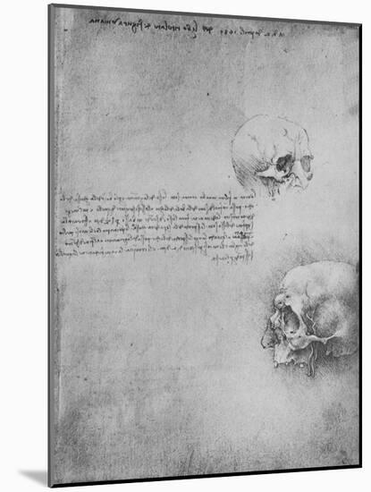 'Two Drawings of the Bony Structure of the Head', c1480 (1945)-Leonardo Da Vinci-Mounted Giclee Print