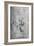 'Two Drawings of the Heart', c1480 (1945)-Leonardo Da Vinci-Framed Giclee Print