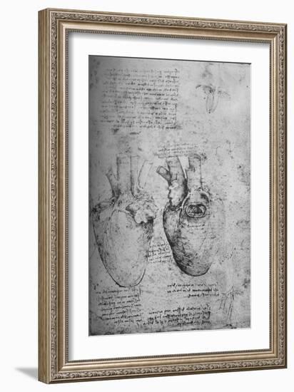 'Two Drawings of the Heart', c1480 (1945)-Leonardo Da Vinci-Framed Giclee Print