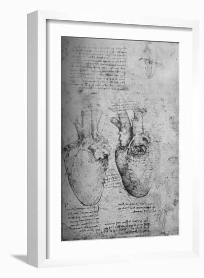 'Two Drawings of the Heart', c1480 (1945)-Leonardo Da Vinci-Framed Giclee Print