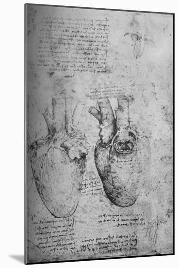 'Two Drawings of the Heart', c1480 (1945)-Leonardo Da Vinci-Mounted Giclee Print