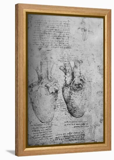 'Two Drawings of the Heart', c1480 (1945)-Leonardo Da Vinci-Framed Premier Image Canvas