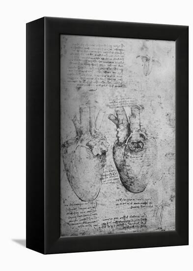 'Two Drawings of the Heart', c1480 (1945)-Leonardo Da Vinci-Framed Premier Image Canvas