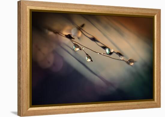 Two Droplets-Ursula Abresch-Framed Premier Image Canvas