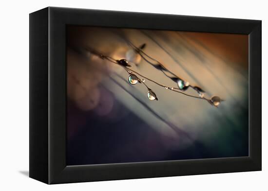 Two Droplets-Ursula Abresch-Framed Premier Image Canvas