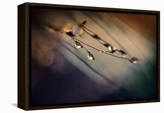 Two Droplets-Ursula Abresch-Framed Premier Image Canvas