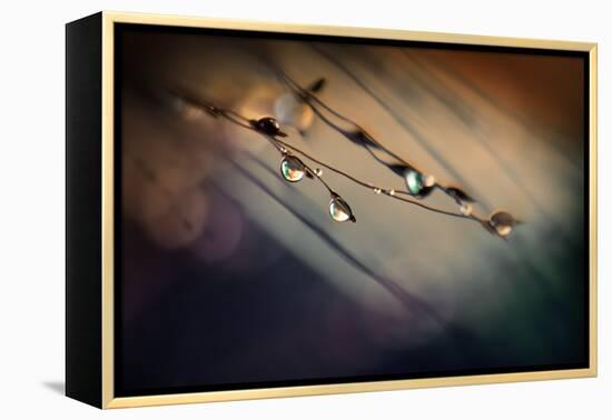 Two Droplets-Ursula Abresch-Framed Premier Image Canvas