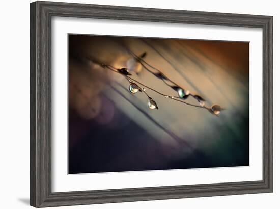 Two Droplets-Ursula Abresch-Framed Photographic Print