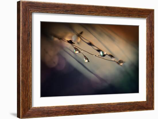 Two Droplets-Ursula Abresch-Framed Photographic Print