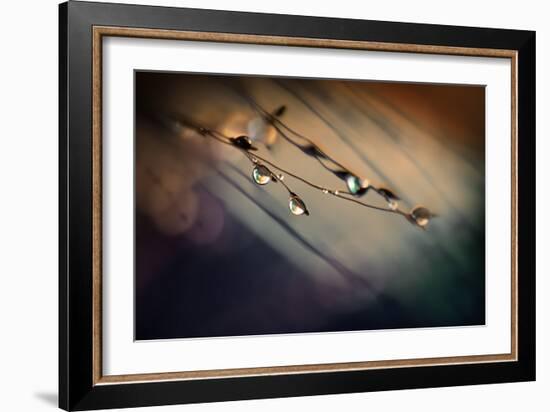 Two Droplets-Ursula Abresch-Framed Photographic Print