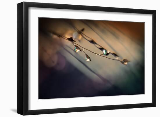 Two Droplets-Ursula Abresch-Framed Photographic Print