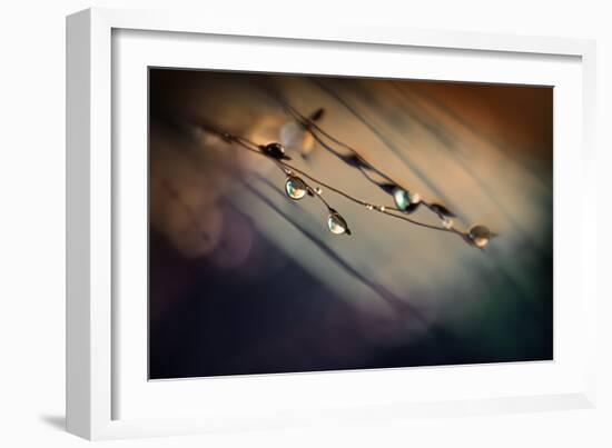 Two Droplets-Ursula Abresch-Framed Photographic Print