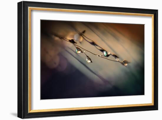 Two Droplets-Ursula Abresch-Framed Photographic Print