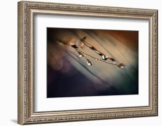 Two Droplets-Ursula Abresch-Framed Photographic Print