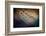 Two Droplets-Ursula Abresch-Framed Photographic Print