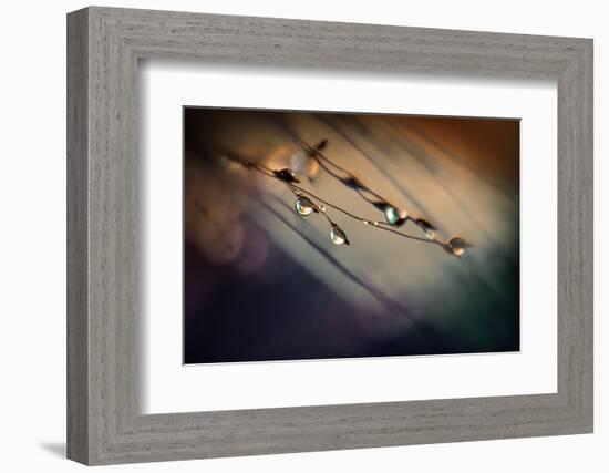 Two Droplets-Ursula Abresch-Framed Photographic Print