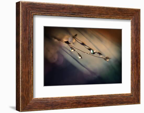 Two Droplets-Ursula Abresch-Framed Photographic Print