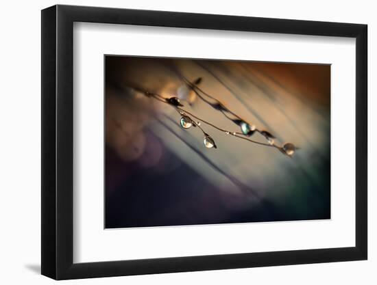 Two Droplets-Ursula Abresch-Framed Photographic Print