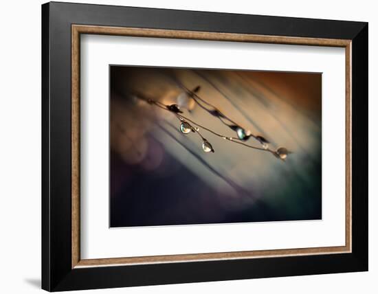 Two Droplets-Ursula Abresch-Framed Photographic Print