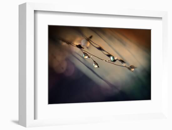 Two Droplets-Ursula Abresch-Framed Photographic Print