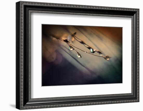 Two Droplets-Ursula Abresch-Framed Photographic Print