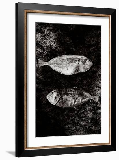 Two Dry Fishlying on a Piece of Elephant Paper-Torsten Richter-Framed Photographic Print