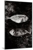 Two Dry Fishlying on a Piece of Elephant Paper-Torsten Richter-Mounted Photographic Print