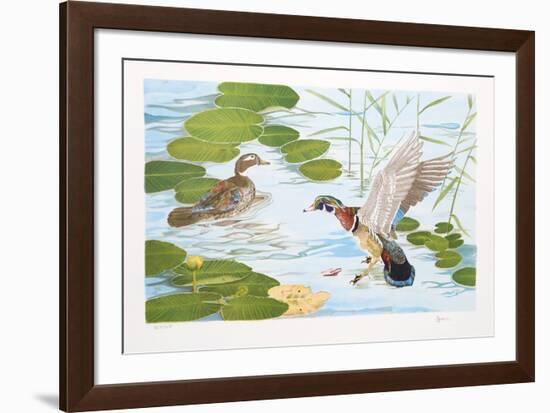 Two Ducks-Brown-Framed Collectable Print