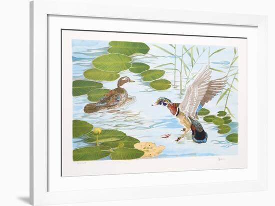 Two Ducks-Brown-Framed Collectable Print