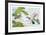 Two Ducks-Brown-Framed Collectable Print