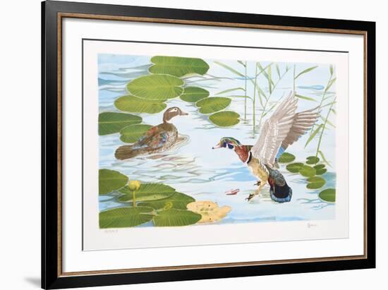 Two Ducks-Brown-Framed Collectable Print