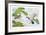 Two Ducks-Brown-Framed Collectable Print