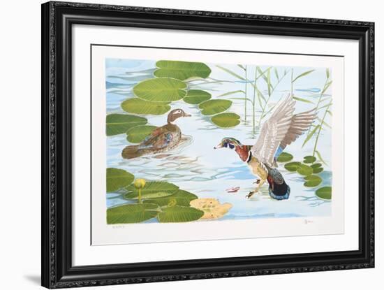 Two Ducks-Brown-Framed Collectable Print