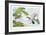 Two Ducks-Brown-Framed Collectable Print