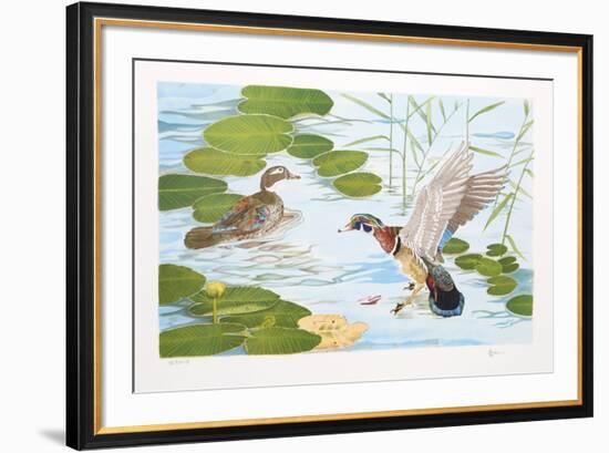 Two Ducks-Brown-Framed Collectable Print