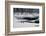 Two Ducks-Ursula Abresch-Framed Photographic Print