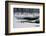 Two Ducks-Ursula Abresch-Framed Photographic Print