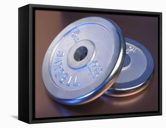 Two Dumbbell Weights for a Workout-null-Framed Premier Image Canvas